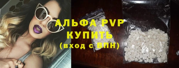 гидра Дмитров