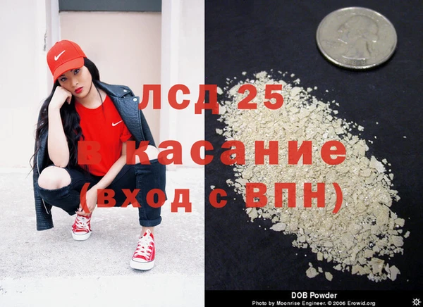 гидра Дмитров