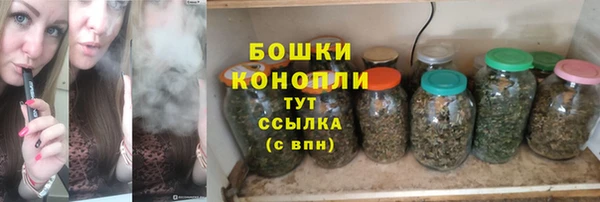 гидра Дмитров
