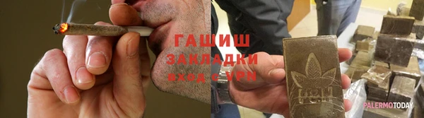 гидра Дмитров
