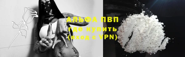 стафф Дмитровск