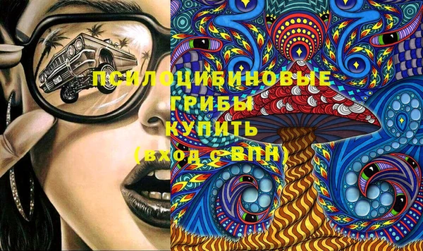 гидра Дмитров