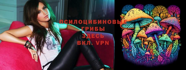 гидра Дмитров