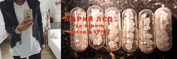 стафф Дмитровск