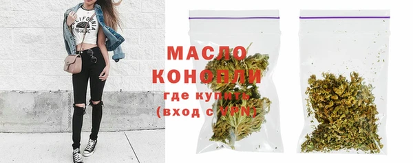 гидра Дмитров