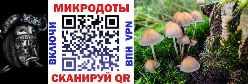 Галлюциногенные грибы Psilocybe  где купить наркотик  Одинцово 